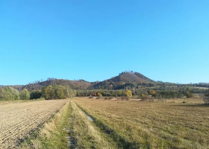 팜스테이 Pod Kasztanami *